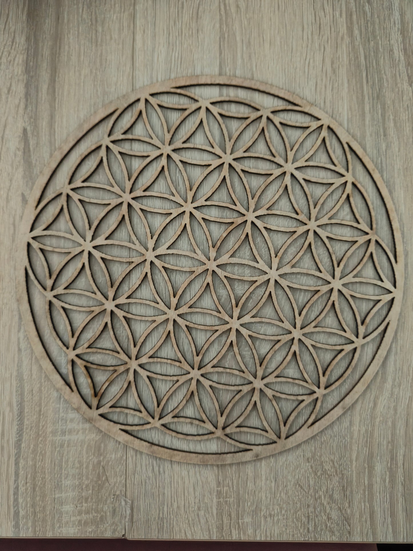 Fleur de vie 30cm de diamètre